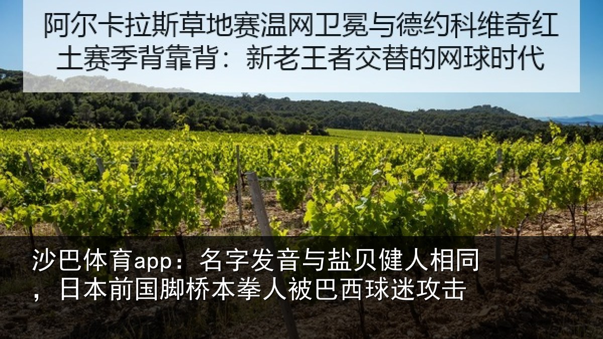 沙巴体育app:名字相关情况同日相关情况被巴西球迷攻击